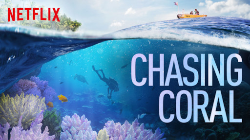 NETFLIX MOVIES ABOUT TRAVELING
