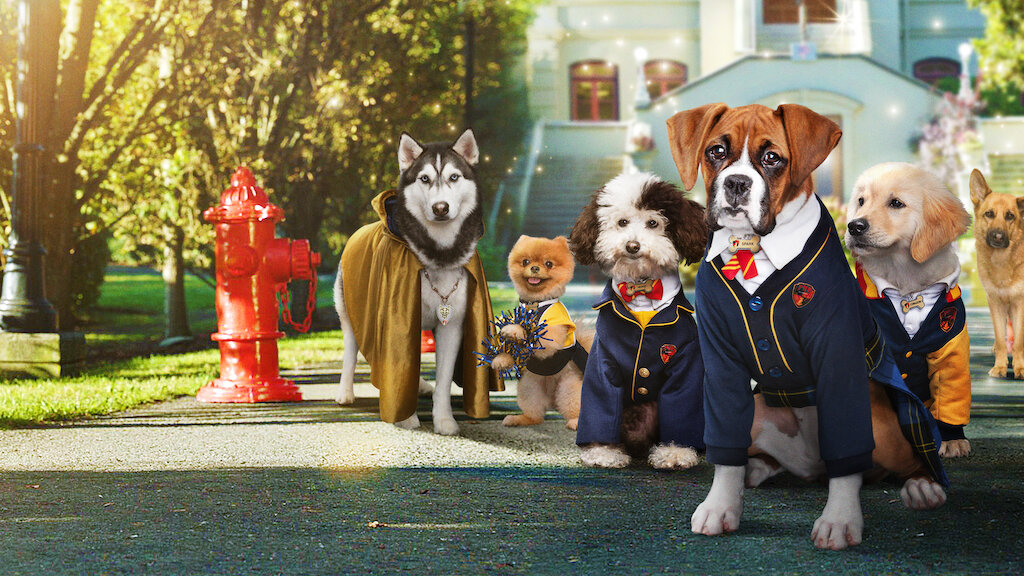 Pup Academy Netflix Official Site Pup Academy Netflix Official Site