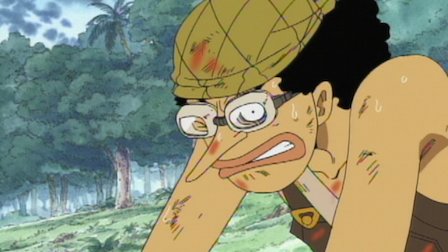 Monkey D Luffy Family Tree Monkey D Luffy Family Tree