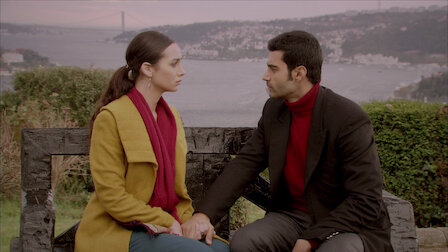 Love Is In The Air Netflix Love Is In The Air Netflix