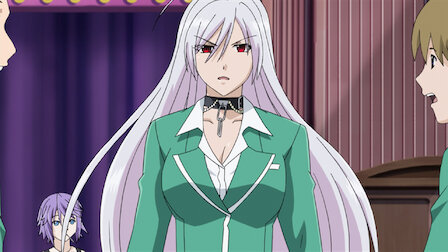 Rosario Vampire Netflix