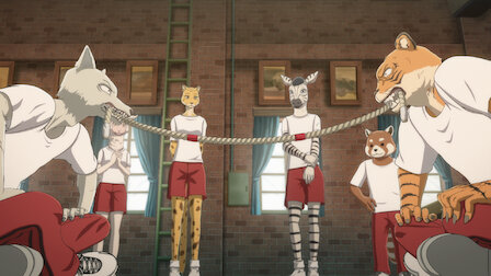Beastars Netflix Official Site Beastars Netflix Official Site
