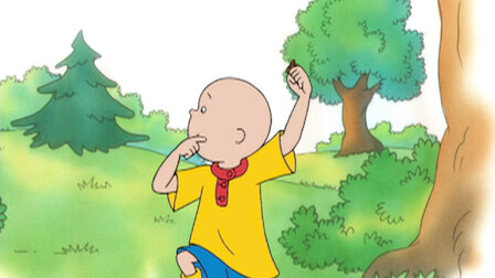 Caillou Netflix - 