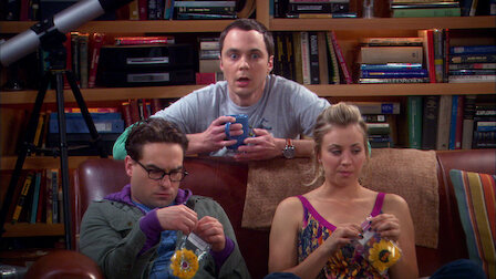 the big bang theory season 2 episode 17 the big bang theory season 2 episode 17