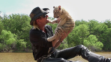 tiger king stream free