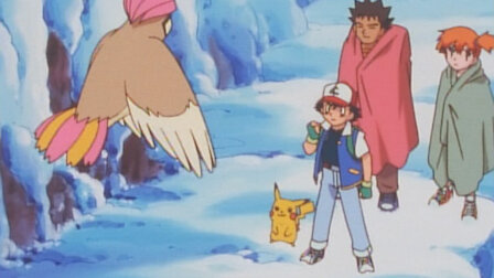 ポケットモンスター Netflix