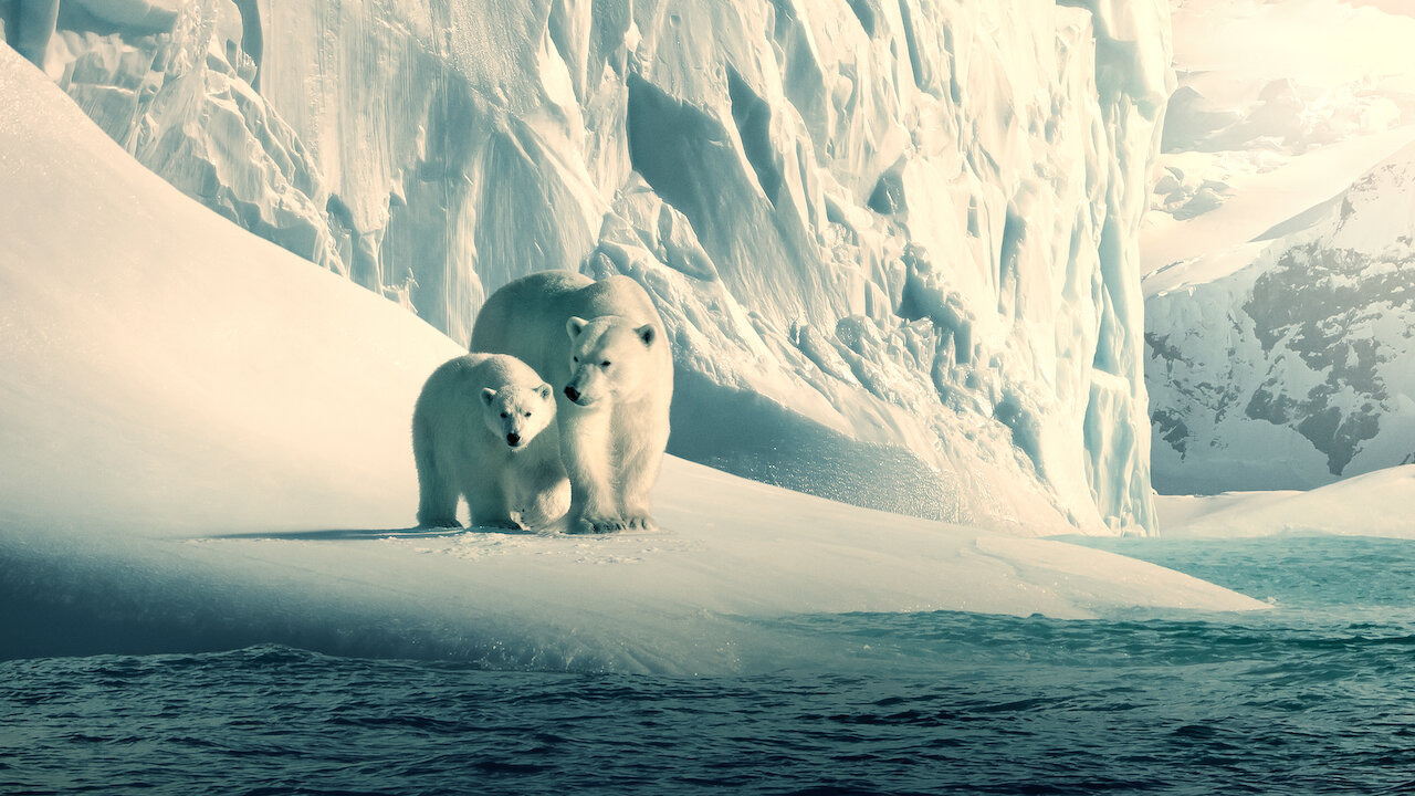 Imagen sobre el documental Nuestro planeta