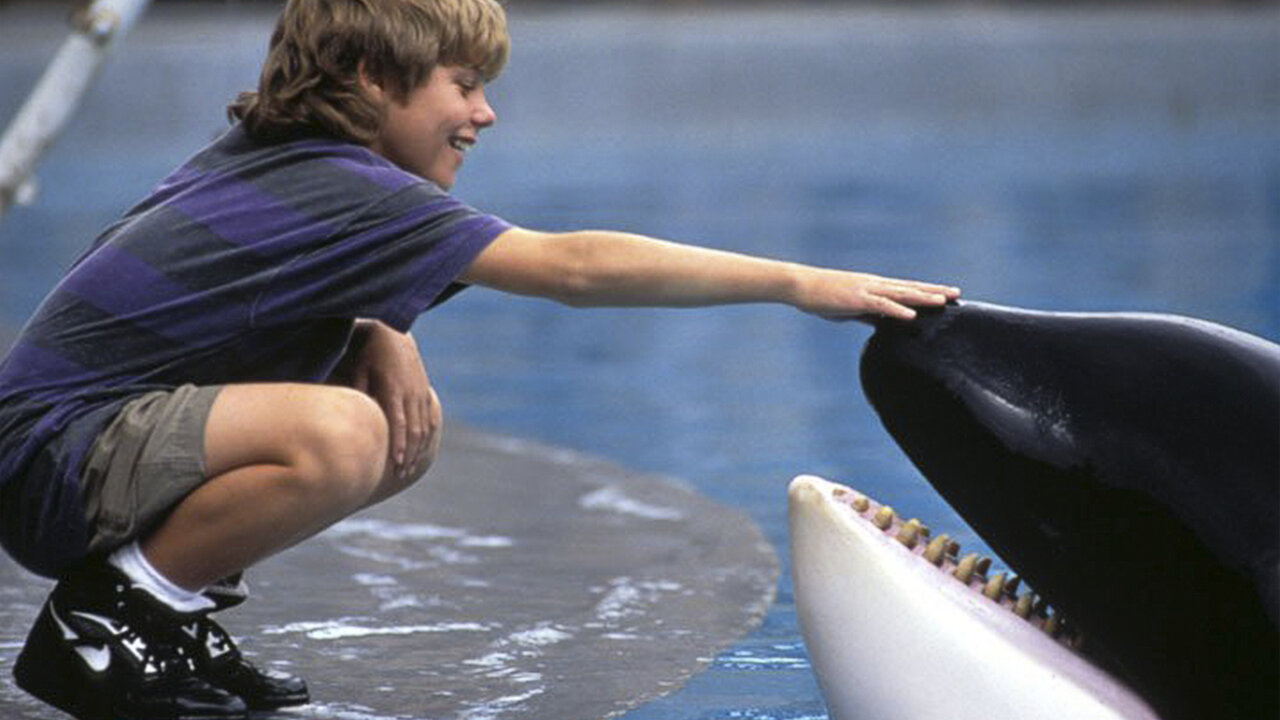 Free Willy 10 Children's Movies The '90s Kids Simply Adore