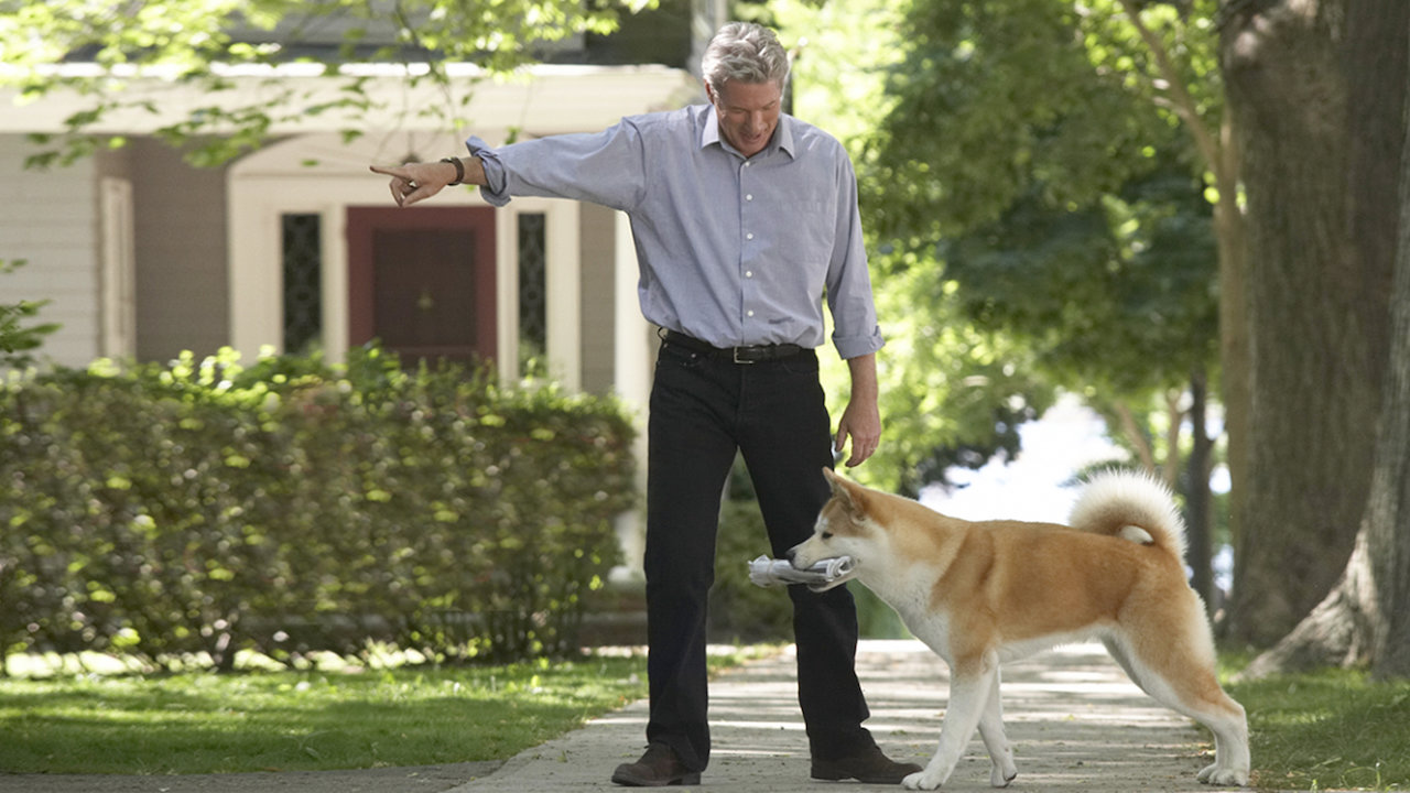hachi a dogs tale download hachi a dogs tale download