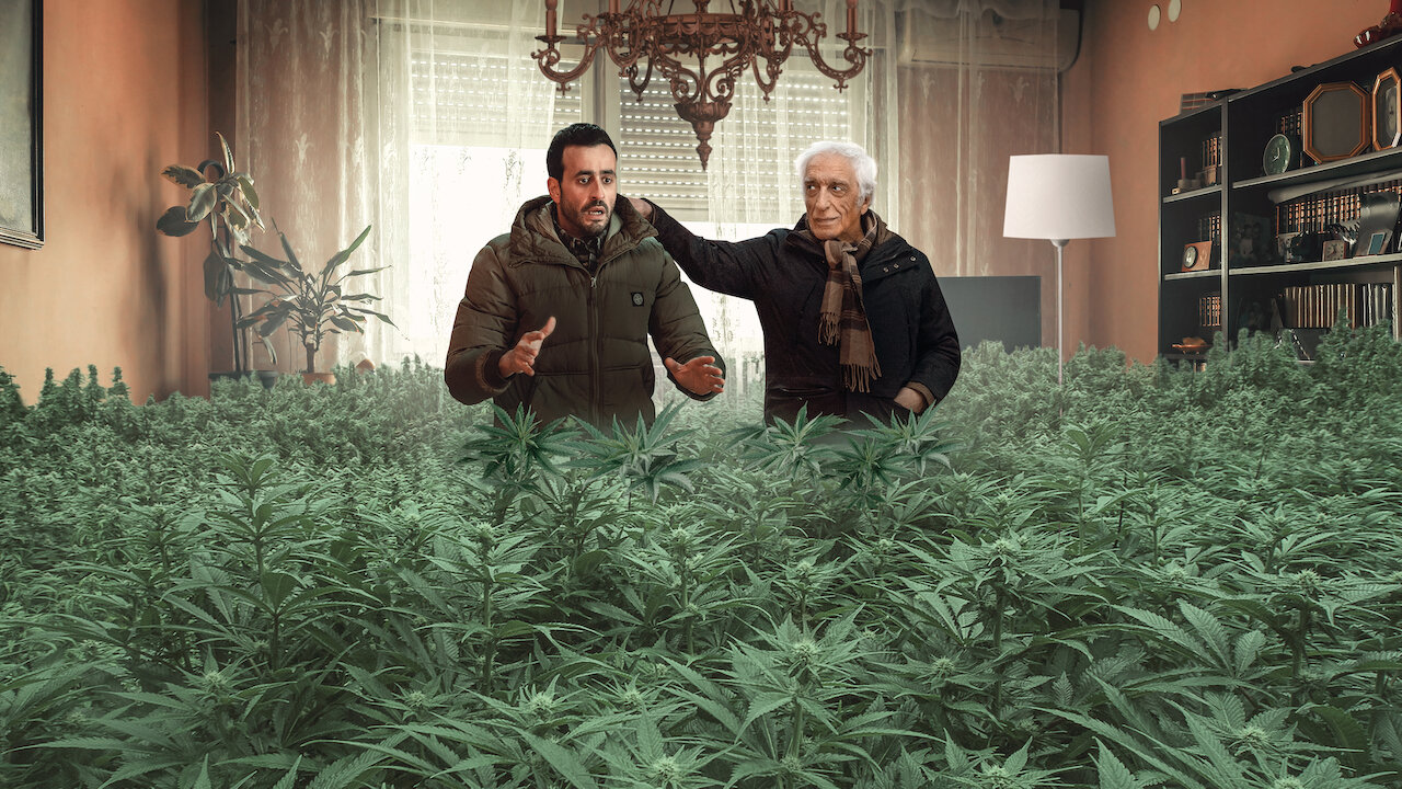 大麻咖啡馆 Netflix 官方网站