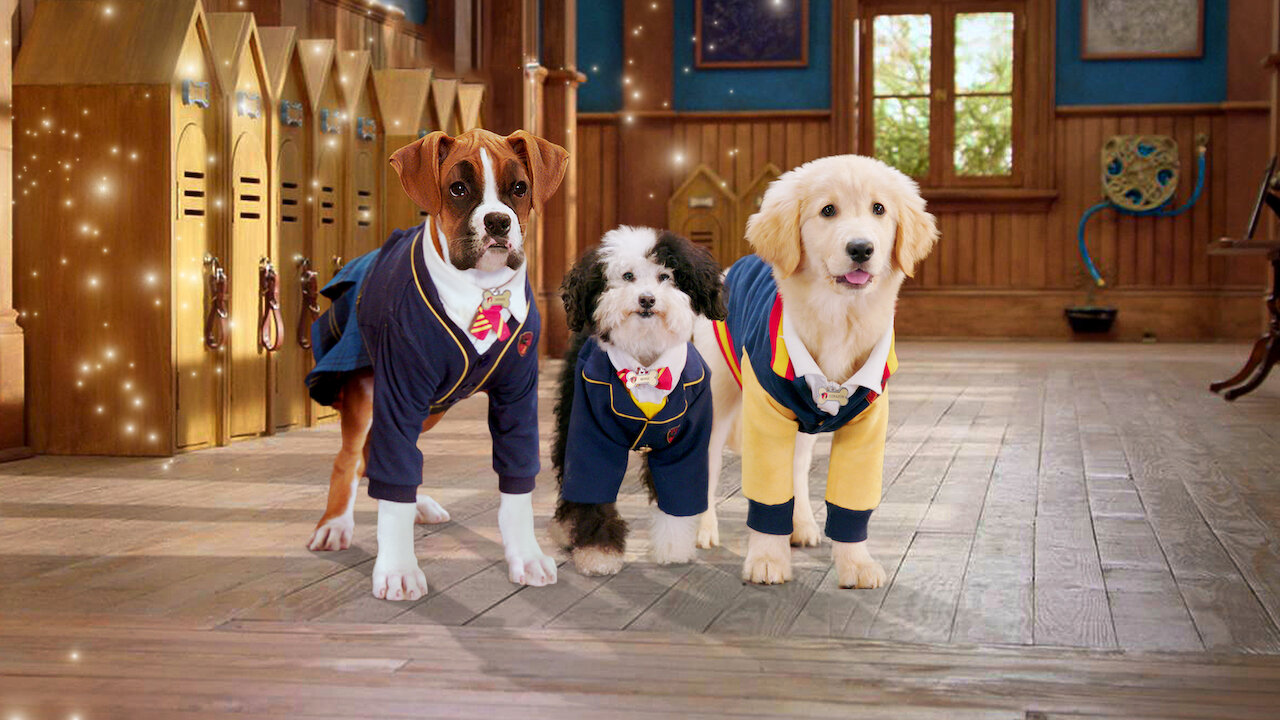 Pup Academy Netflix Official Site