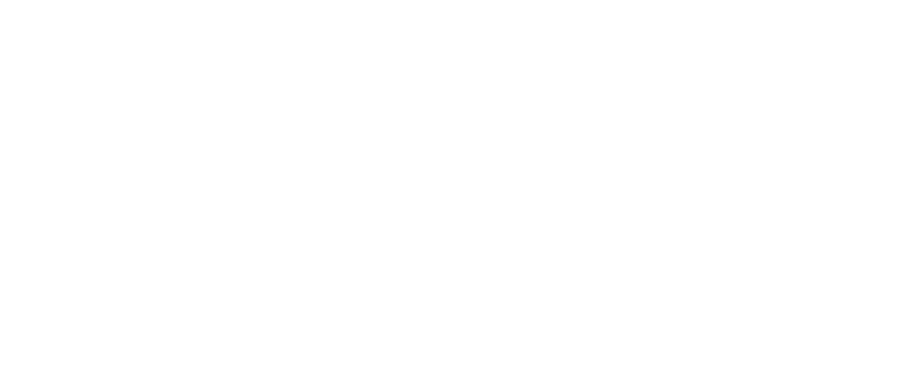 レジェンド オブ フォール 果てしなき想い Netflix