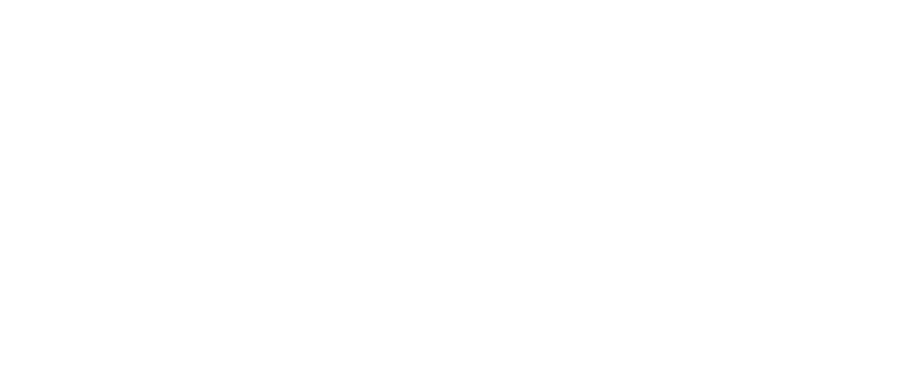 The Family Man Netflix