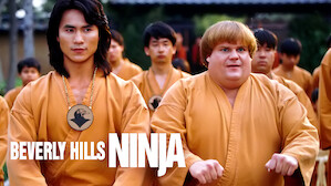 Martial Arts Movies Netflix Official Site