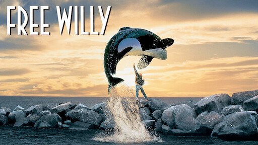 Free Willy 2 The Adventure Home Netflix