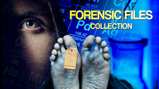 Cold Case Files Classic Netflix